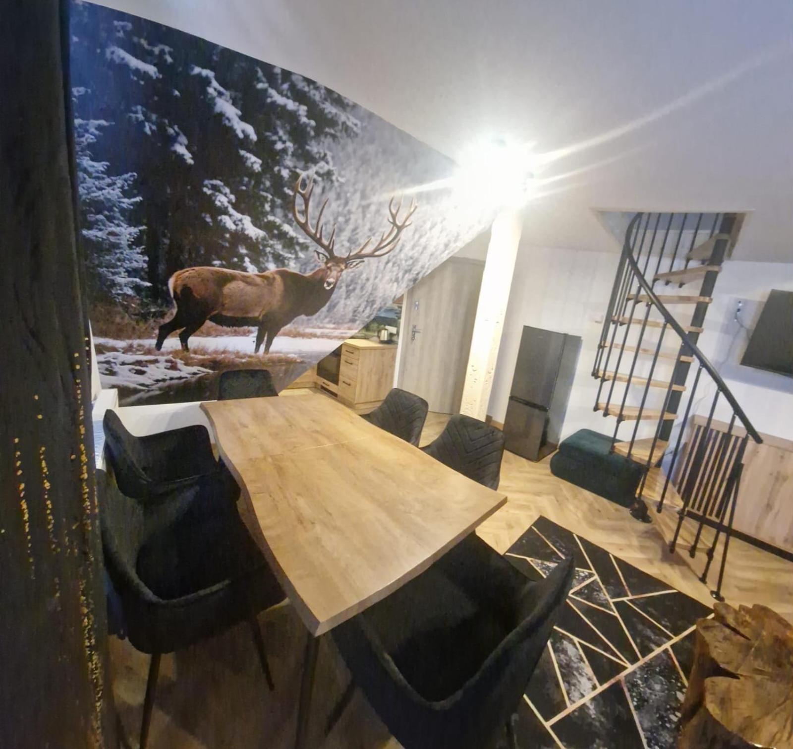 Studia I Apartamenty Wierchy Zakopane Extérieur photo