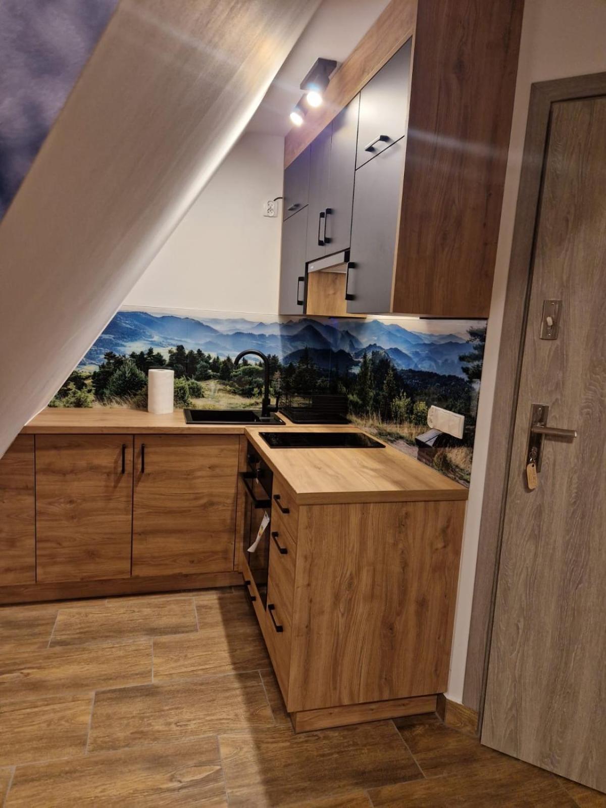 Studia I Apartamenty Wierchy Zakopane Extérieur photo